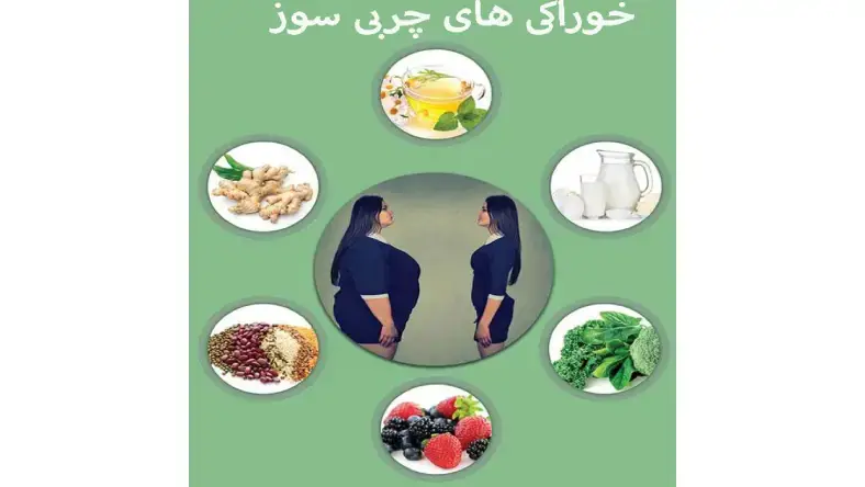 برای کاهش وزن سریع چی بخوریم