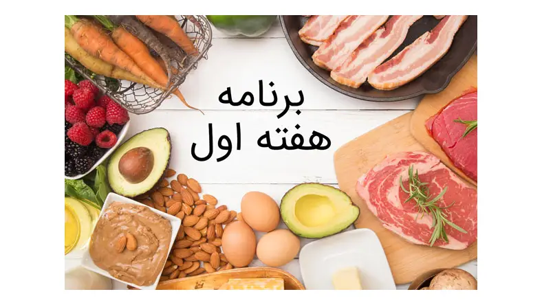 رژیم کتوژنیک pdf رایگان