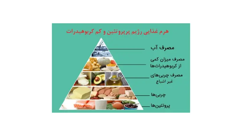 رژیم کربوهیدرات و پروتئین برای لاغری
