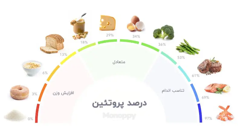 غذاهای حجم دهنده برای بدنسازی