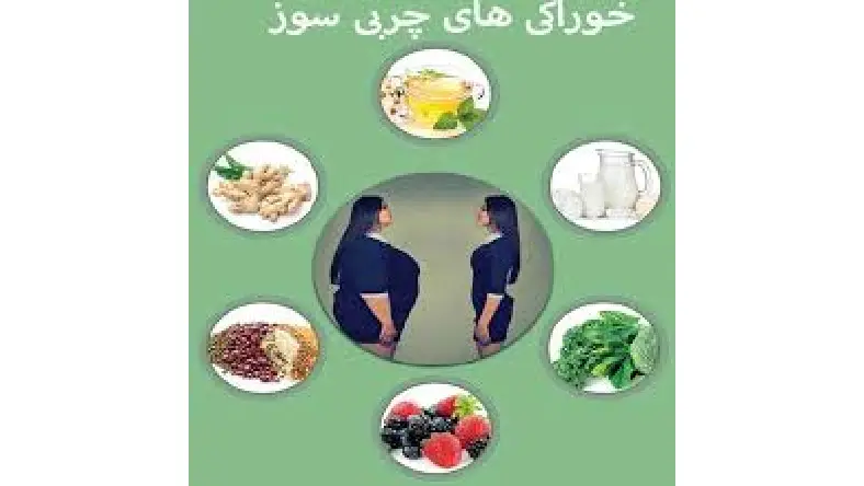 لیست غذاهای لاغر کننده