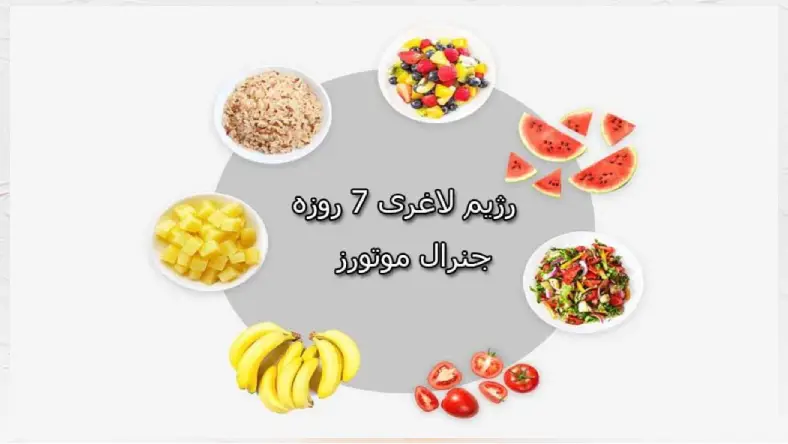 نسخه اصلی رژیم جنرال موتورز