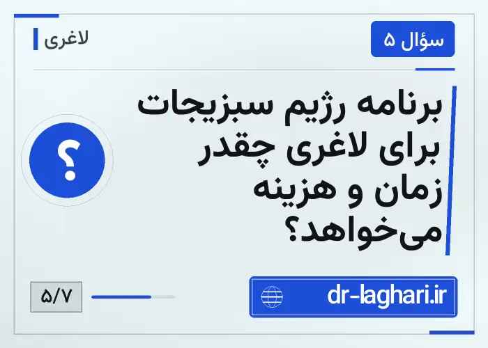 برنامه رژیم سبزیجات برای لاغری چقدر زمان و هزینه می‌خواهد؟